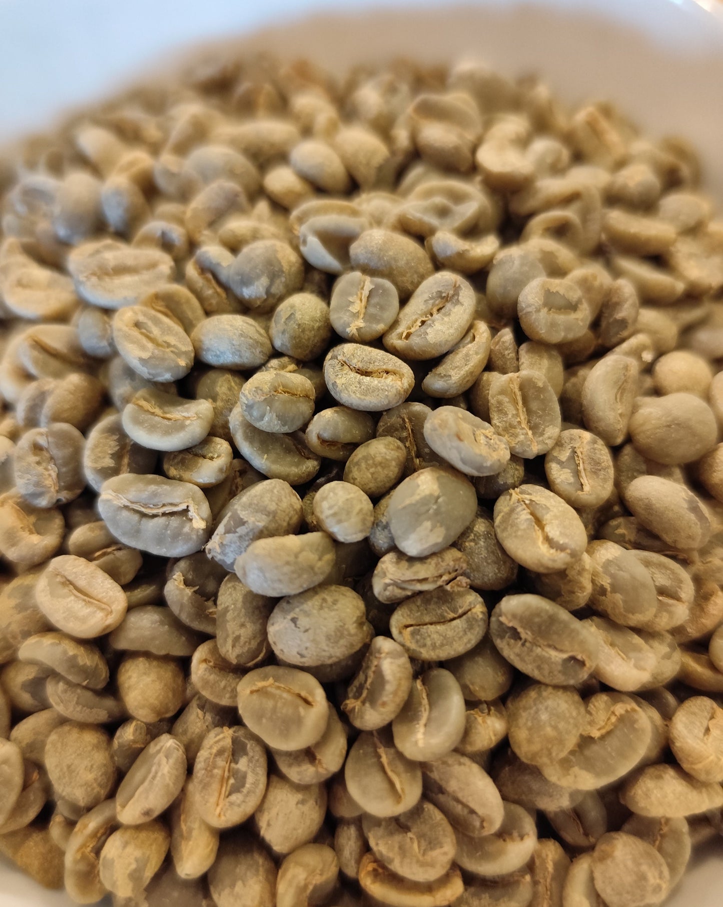 07.タイ Khun Yuam ウォッシュド 生豆 250g